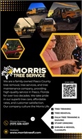 Morris Tree Service