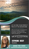 Mountainside Realty